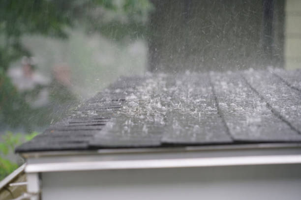 Best Sheet Metal Roofing  in Gunter, TX