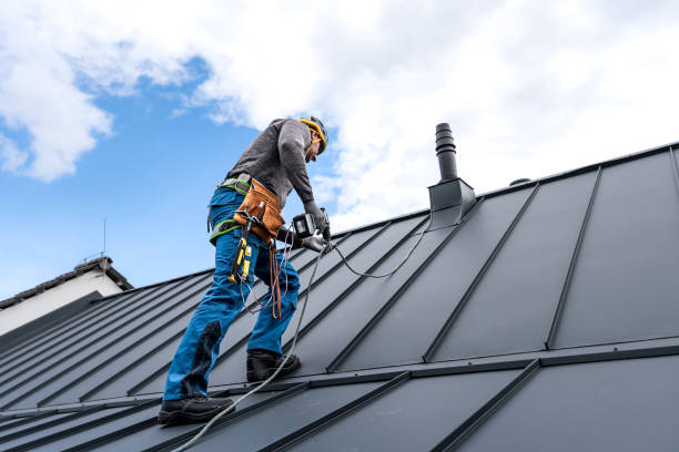 Best Cold Roofs  in Gunter, TX