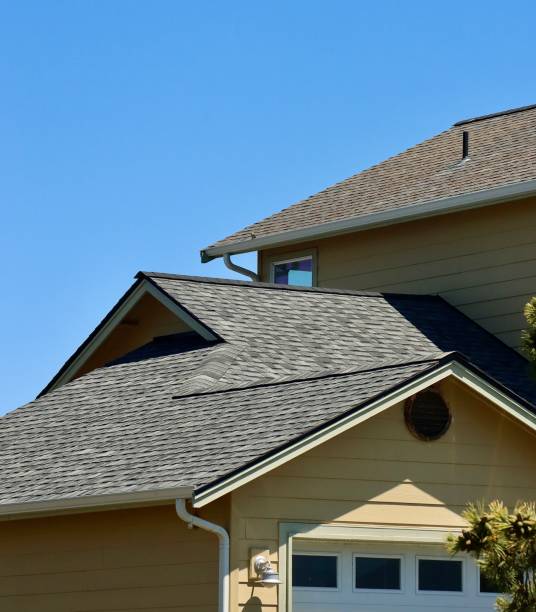 Best Skylight Installation and Repair  in Gunter, TX